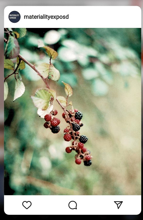 Blackberry