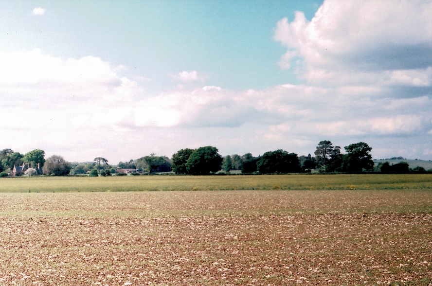 Field